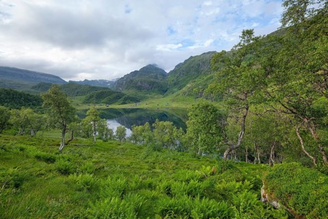 Summer view at Steinskvanndalsvatnet lake near Norheimsund, green mountains, birch forest and old