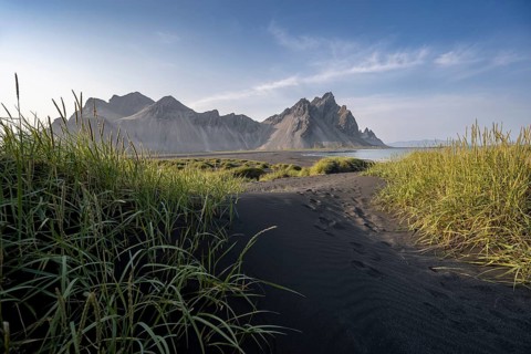 Black beach with volcanic sand, sandy beach, dunes with grass, Stokksnes headland, Klifatindur