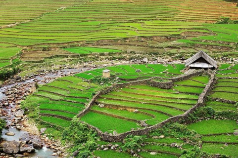 Farm shed in rice field terraces. Near Sapa, Vietnam