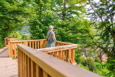 Woman standing on a wooden lookout point with a view of the wooded path, Panorama Holzsteg, Calw,