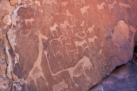 Prehistoric rock carvings of animals on brown stone, including a giraffe and a lion, The