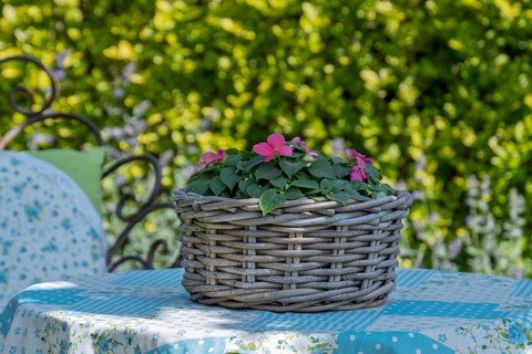 A wicker basket with pink flowers stands on a blue-patterned table in a sunny garden, North