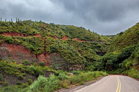 Road leads through green-covered mountains with cacti under cloudy sky, roads through the landscape