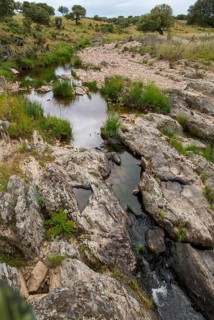 Countries, Dehesa, Extremadura, high size, portrait, cultural landscape, landscape, countries,