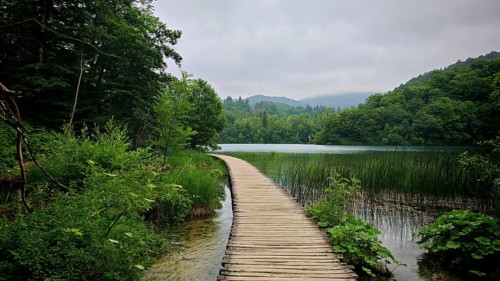 A wooden walkway leads across a foggy lake, surrounded by natural vegetation and peaceful