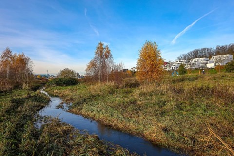 Dortmund, North Rhine-Westphalia, Germany, Phoenix Lake, front of the renaturalised Emscher. The