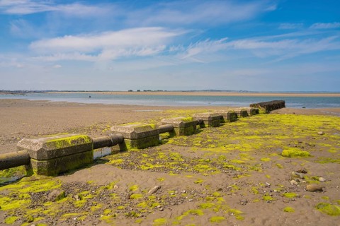 Concrete barrier on beach with moss and peaceful coastal landscape under blue sky, low tide, Howth