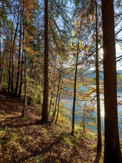 Autumn atmosphere at Hechtsee lake near Kufstein, Tyrol, Austria