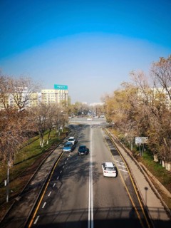 ALMATY, KAZAKHSTAN, NOVEMBER 8, 2019: Top view to Dulaty street and the First President's Park,