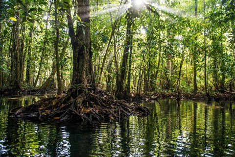 Lagoon, Klong Rud, Klong Nam Sai, Ao Nang, Krabi, Thailand