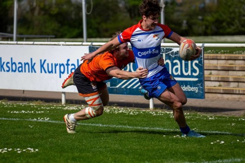 Rugby 1st Bundesliga South/West, Season 2024/25, Matchday 10: RG Heidelberg vs Heidelberger