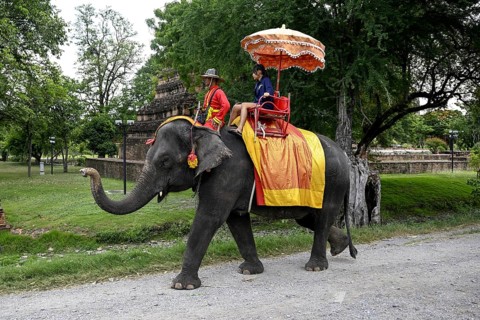 Tourist on a riding elephant near the Grand Palace, old royal palace, Ayutthaya, Ayutthaya