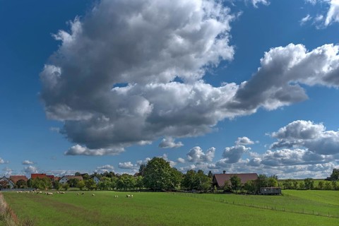 Franconian village with sheep on pasture, Tauchersreuth, Middle Franconia, Bavaria, Germany