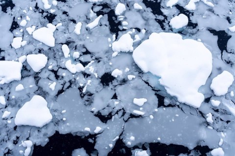 Floes with snow on dark seawater, aerial view during snowfall, Wilhelmina Bay, Antarctic Peninsula,