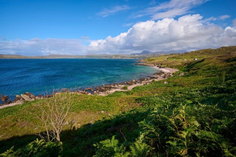Coastal view with rocks and vegetation, under a clear blue sky with loose clouds, Gruinard Beach,