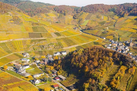 Vineyards in autumn, Mayschoß with parish church, red wine growing region Ahrtal, red wine of the