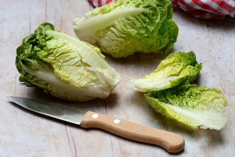 Baby salad, salad with knife