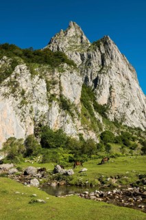 Mountain landscape and semi-wild horses, Lescun, Département Pyrénées-Atlantiques, Region