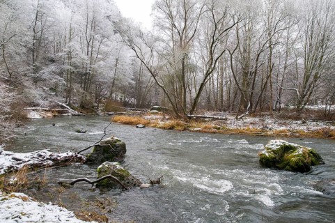 Germany, Rentzschmühle, Saxony, biotopes, landscape, deciduous forest, nature reserve, snow,