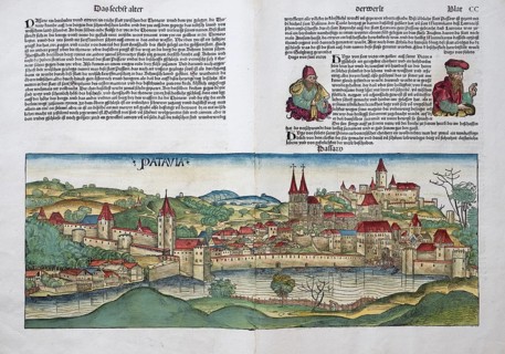 Medieval city view of Passau or Patavia, family tree, old coloured woodcut from: Schedel'sche