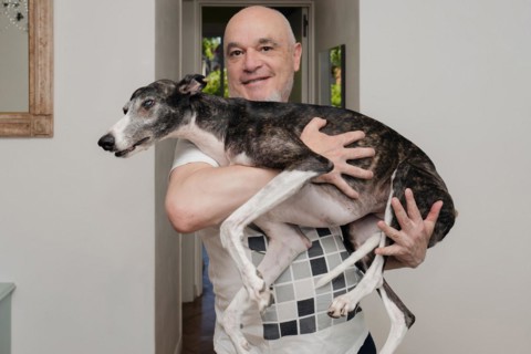 Happy bald middle-aged man holding his rescued greyhound dog in his arms inside the home