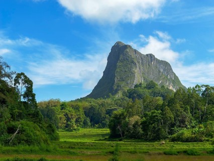 Rocks, rice paddies and Mount Kandora, Tana Toraja, Sulawesi, Indonesia