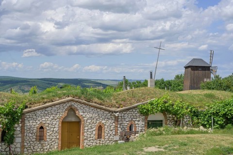 Windmill and wine cellar near Cellar Lane, Vrbice u Velkých Pavlovic, South Moravský kraj, Czech