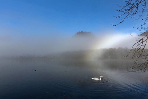 Rare fogbow and Autumn mood at lake Almsee, Grünau, Austria, Totes Gebirge