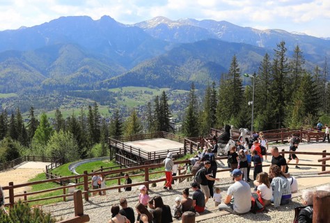Picture shows the Gubalówka Hill in Zakopane, Poland, the Gubalowka is known for its panoramic view