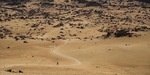 Hikers, Parque Nacional de las Canadas del Teide, Teide National Park, UNESCO World Heritage Site,