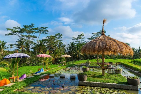 Café and bistro in the rice paddies, seating area, outdoor, gastronomy, garden, travel, tourism,