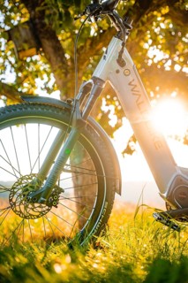 A bicycle stands in the grass, illuminated by sunbeams under a tree, e-bike, forest bike, Calw,