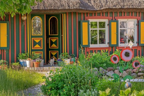 Colourful thatched house with cat Darß Baltic Sea Germany