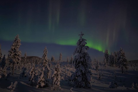 Northern Lights (Aurora borealis) over moonlit winter landscape, Nattavaara, Norrbotten, Lapland,