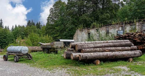 Logs stored on the grounds of the horticultural office, Schwangau, Bavaria, Germany