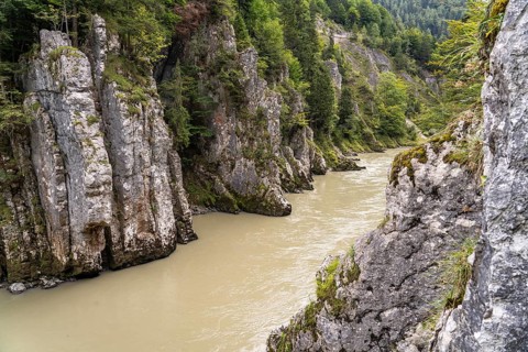 View from the Eibenschlucht viewing platform into the Entenlochklamm gorge, Kössen, Tyrol, Austria