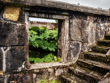 Ruins of former hotel, grown over by vegetation of the rain forest, San Rafael National Park, rain
