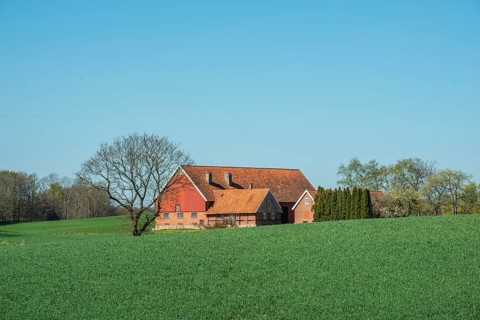 Farm at green field and blue sky in springtime in Ystad Municipality, Skåne County, Sweden,