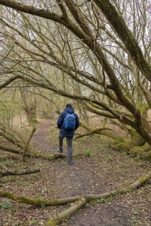 Woodland trail, man, walker, waterfront, Stratford-upon-Avon, England, Great Britain