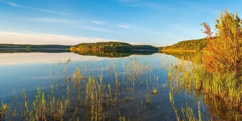 Lake Fürstensee with reeds in the evening light, Müritz National Park, Fürstensee,
