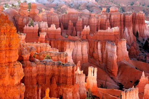 Geography, Bryce Canyon NP, Utah, USA, National Park, Erosion, Sandstone, Bryce Canyon NP, UTAH,