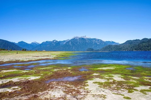 Shores of Lake Chapo, Los Lagos, Patagonia Verde, Chile
