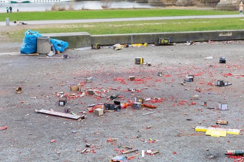 As every year, the Dresden city cleaning service had to remove several tonnes of rubbish from the