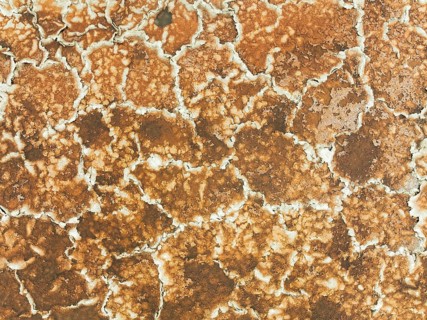 Salt marsh at the Skeleton Coast. Aerial view. Drone shot. Dorob National Park, Namibia