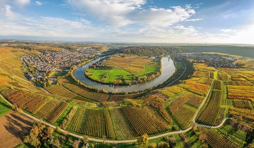 Aerial drone view of the river loop in the Neckar Valley with its famous steep vineyards next to