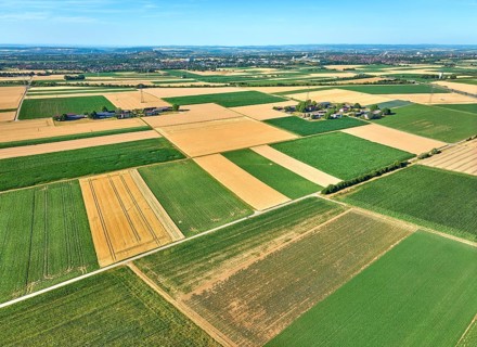 Aerial view of geometric grain and corn fields forming a colorful agricultural landscape with