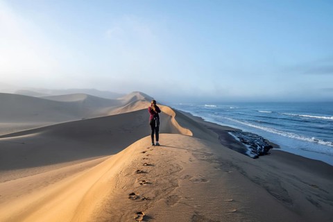 Young woman with camera, photographer standing on dunes, sand dunes in morning light, view of