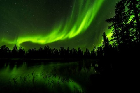 Northern Lights (Aurora borealis) reflected in a forest lake, Muddus National Park, Laponia World