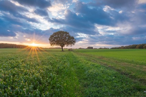 Husum, Nienburg, Lower Saxony, Germany