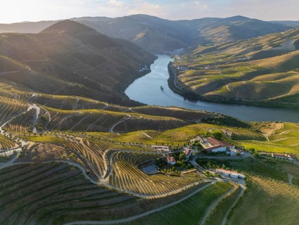 Tour boat passes through the Douro River below terraced vineyards and estates in Portugal's Douro